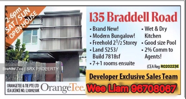 Braddell Road (D13), Detached #197884902